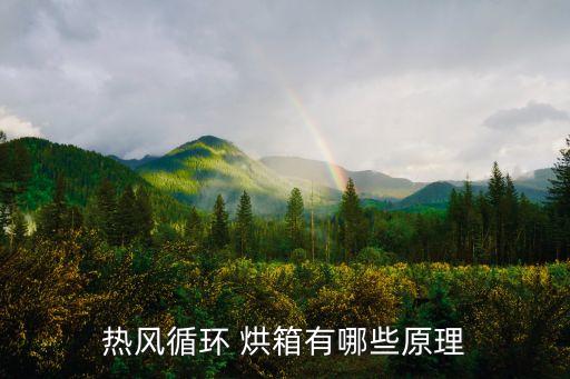 安全烘箱,什么樣的熱風循環烘箱?看看這里!