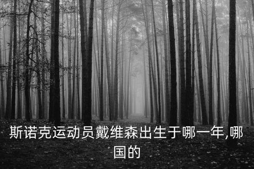 史蒂夫戴維斯,斯蒂夫戴維斯正式宣布退役