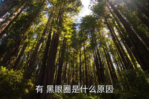 有 黑眼圈是什么原因