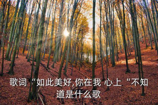 歌詞“如此美好,你在我 心上“不知道是什么歌