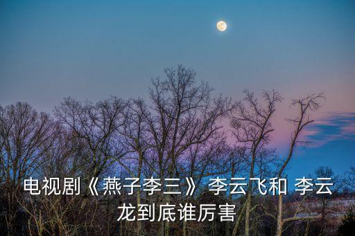 電視劇《燕子李三》 李云飛和 李云龍到底誰厲害