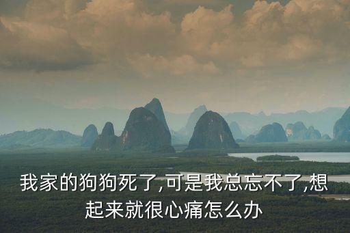 我的狗,狗狗死了它選擇坐邊邊沙發或換一只新的