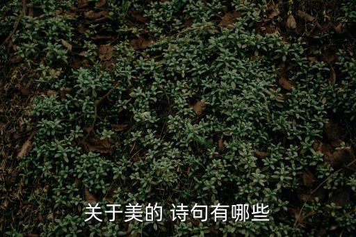 很美的詩句,她是多么美麗的容顏?