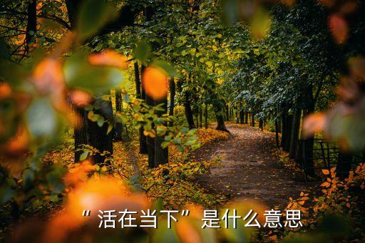 活在當(dāng)下,活在當(dāng)下不要總是追憶過(guò)去