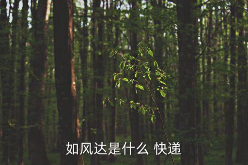 如風(fēng)達(dá)是什么 快遞