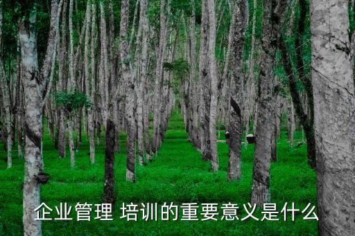 公司管理層培訓,企業管理培訓六大重點:針對不同層級管理者