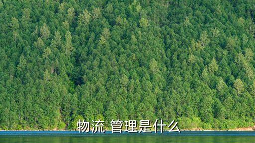 物流運(yùn)輸管理,物流運(yùn)輸管理系統(tǒng)助企業(yè)實(shí)現(xiàn)高效便捷