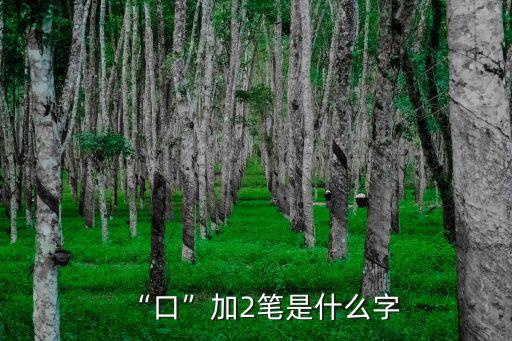 “口”加2筆是什么字