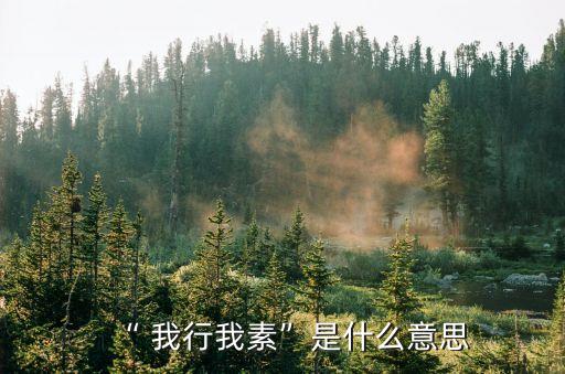 “ 我行我素”是什么意思