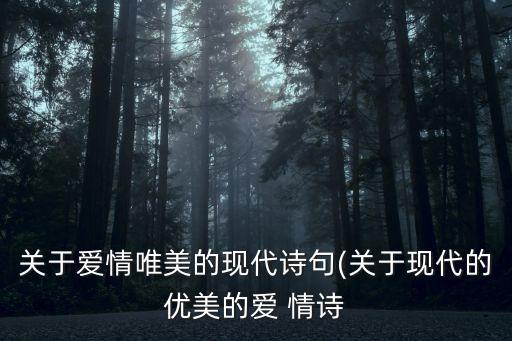 關于愛情唯美的現代詩句(關于現代的優美的愛 情詩