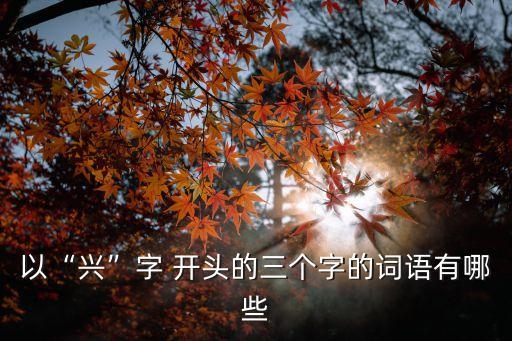 興字開頭的成語,第二集:太陽花開放了