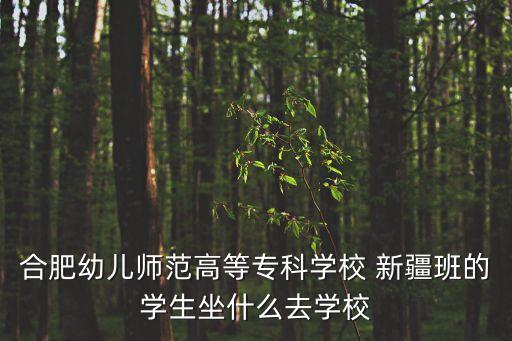 合肥幼兒師范高等專科學校 新疆班的學生坐什么去學校