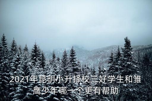 迎春杯數學競賽,北京小學生《迎春杯》數學競賽初賽試題