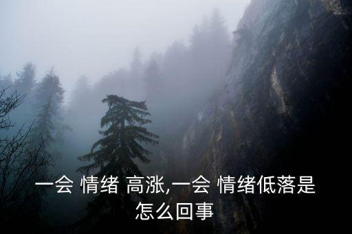 情緒高漲,情緒波動大脾氣不穩定易怒抑郁