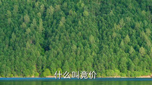 竟價,nn競爭交易類似于拍賣