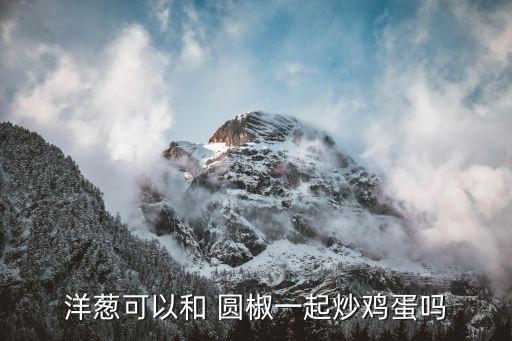 洋蔥可以和 圓椒一起炒雞蛋嗎