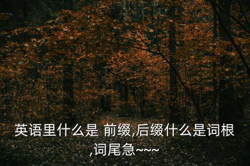 hypo前綴,什么是前綴?看這里!