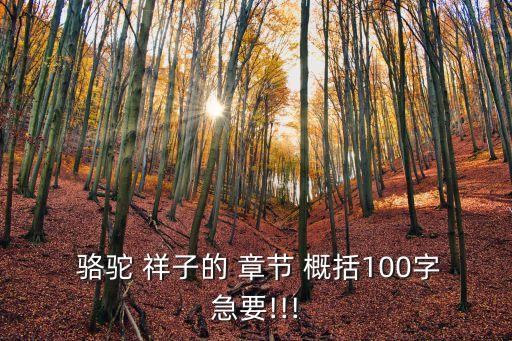  駱駝 祥子的 章節 概括100字急要!!!