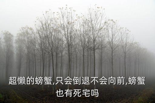 超懶的螃蟹,只會倒退不會向前,螃蟹也有死宅嗎