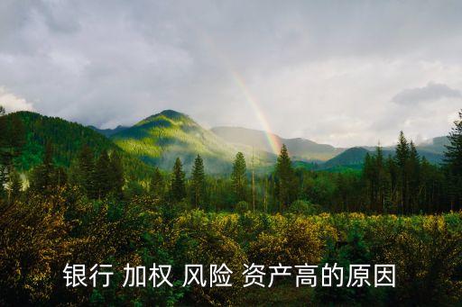銀行 加權 風險 資產高的原因
