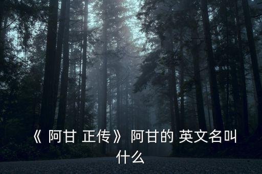 阿甘正傳英文名,《阿甘正傳》阿甘英文名是什么?