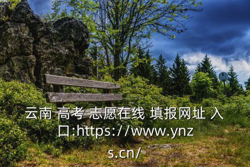云南 高考 志愿在線 填報網(wǎng)址 入口:https://www.ynzs.cn/