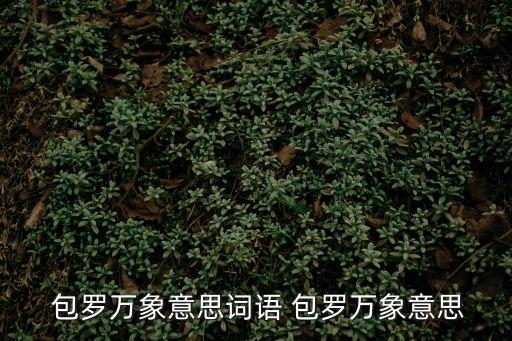  包羅萬象意思詞語 包羅萬象意思