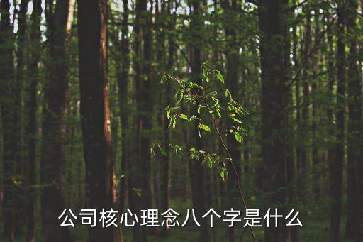 公司核心理念八個字是什么