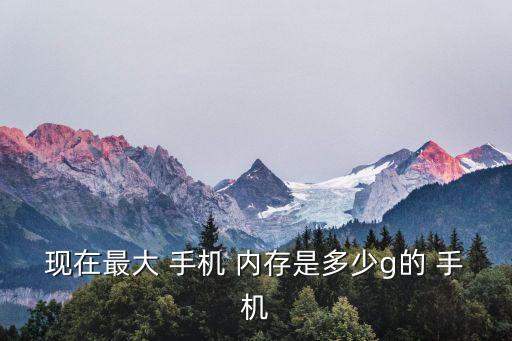 現在最大 手機 內存是多少g的 手機