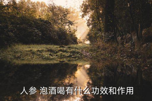 人參泡酒,人參天麻30g大棗50g泡酒2.5l