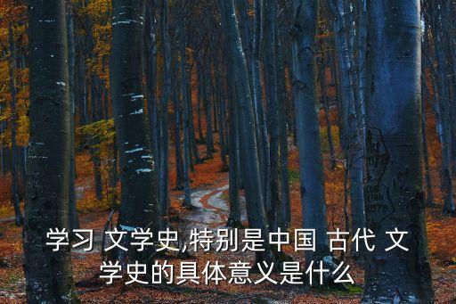 學(xué)習(xí) 文學(xué)史,特別是中國 古代 文學(xué)史的具體意義是什么