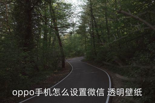 透明主題,設置手機透明需要qq會員權限!