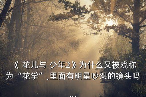 《 花兒與 少年2》為什么又被戲稱為“花學”,里面有明星吵架的鏡頭嗎...