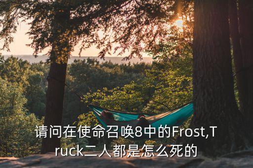 grinch,玩家為掩護price和yuri撤退犧牲了