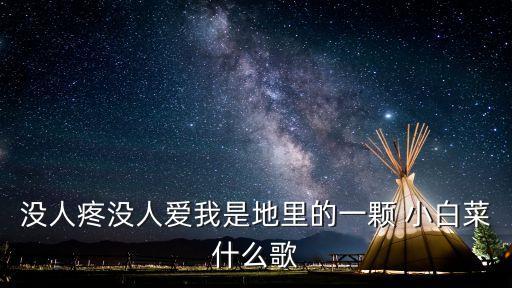 小白菜歌曲,歌詞是什么?小白菜:不是我的菜