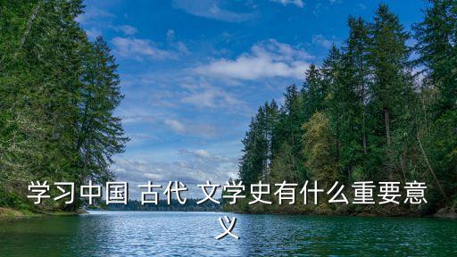 學(xué)習(xí)中國 古代 文學(xué)史有什么重要意義