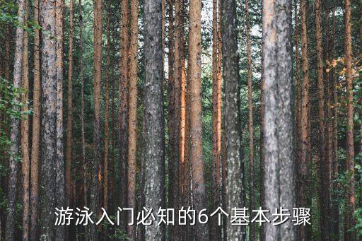 游泳正確姿勢,游泳入門須知6個基本步驟