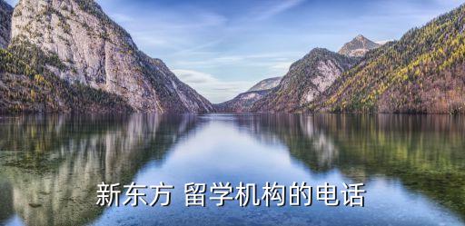 廣州留學中介,十大出國留學中介機構排行榜出爐