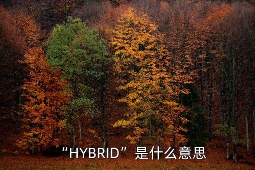 hybrid是什么意思,hybrid是什么意思?在汽車上是混合動(dòng)力意思