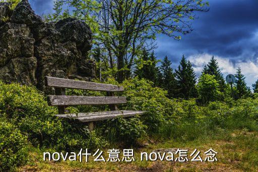  nova什么意思 nova怎么念