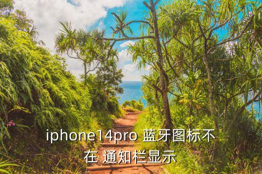 iphone14pro 藍牙圖標不在 通知欄顯示