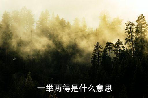  一舉兩得是什么意思