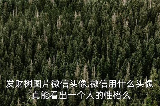 發(fā)財(cái)樹圖片微信頭像,微信用什么頭像,真能看出一個(gè)人的性格么