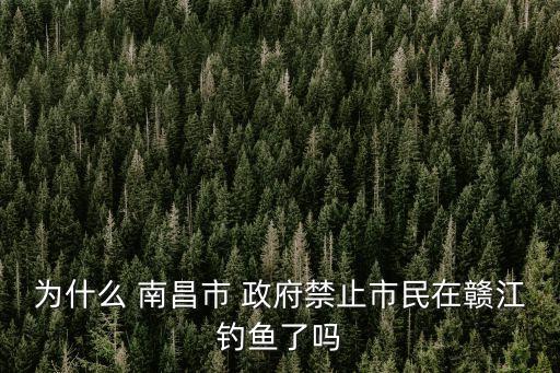 南昌政府,《南昌市人民政府令》第139號:廢止