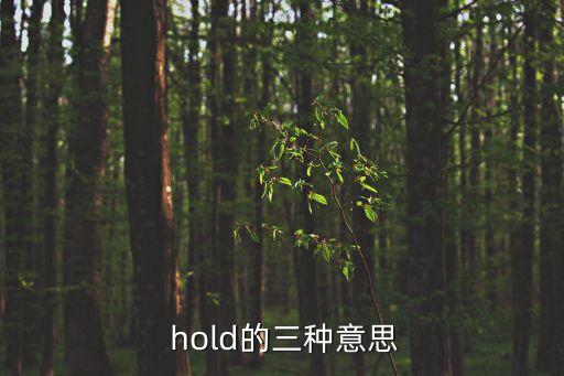  hold的三種意思