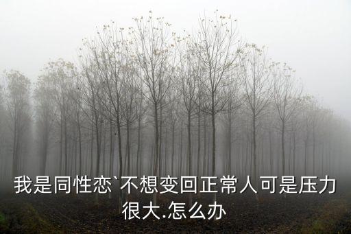 我是同性戀`不想變回正常人可是壓力很大.怎么辦