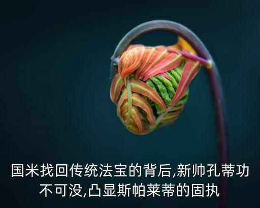 坎德雷瓦,國(guó)米6-0大勝布雷西亞隊(duì)哈戈西克和坎德雷瓦區(qū)別