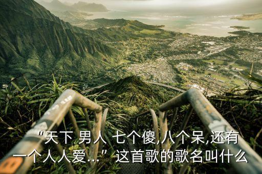 十個男人七個傻,找不到十個男人七個傻八個呆九個壞的中文歌詞?