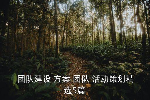  團隊建設(shè) 方案 團隊 活動策劃精選5篇
