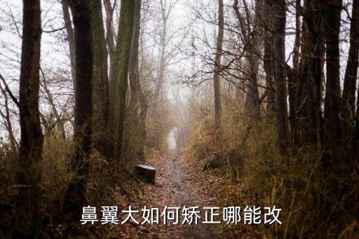 鼻翼大怎么辦,鼻子突然變大怎么辦?可以通過鼻部整形手術治療